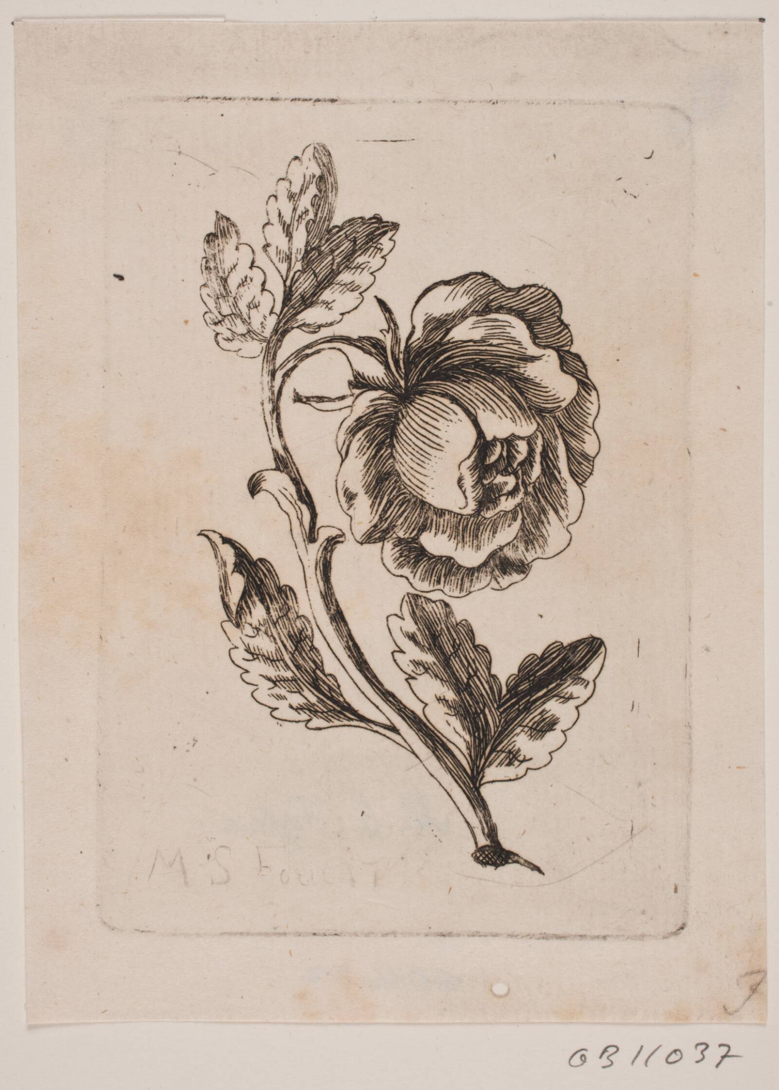 En rose, Michael Fosie, 1740-1749