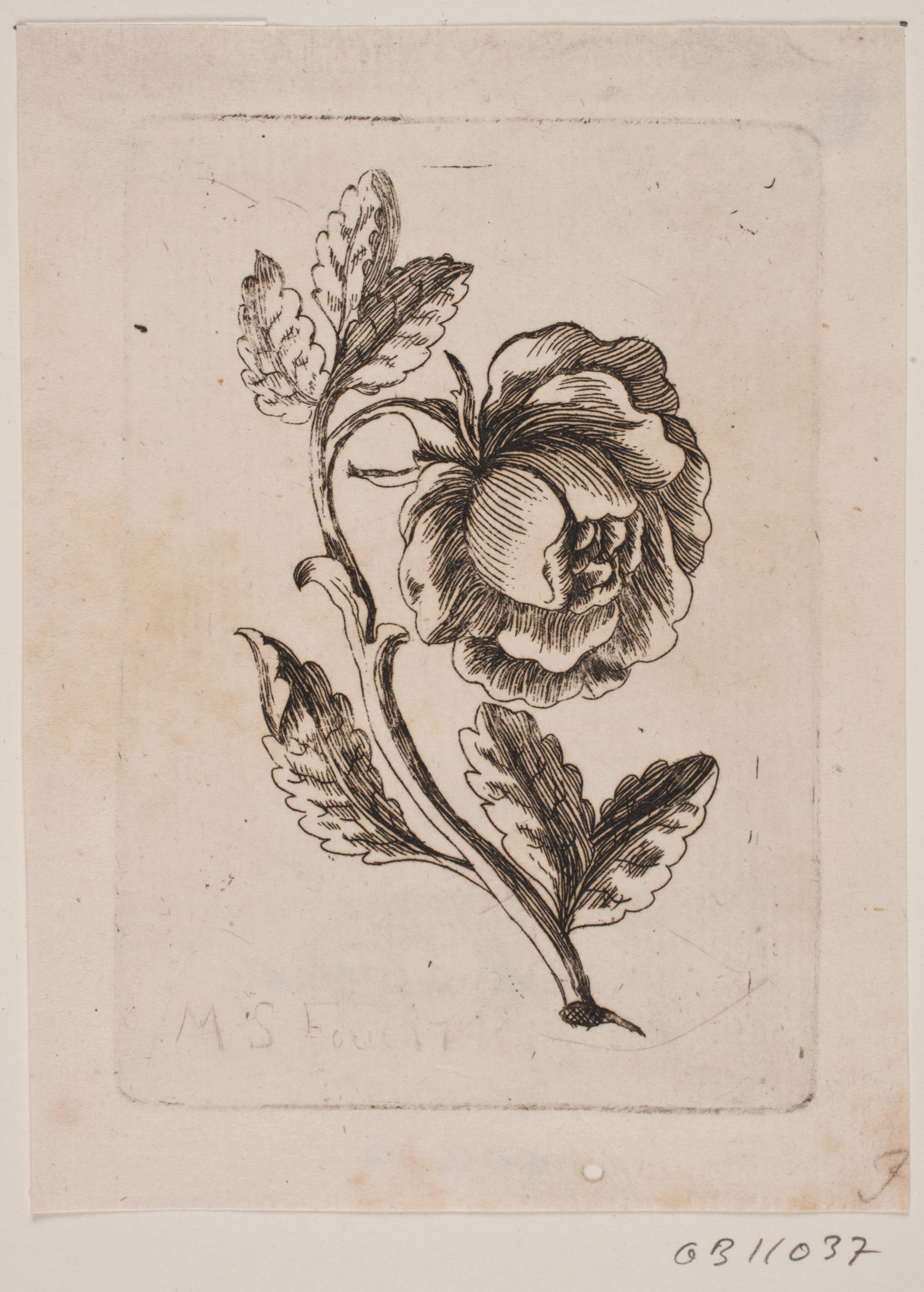 En rose, Michael Fosie, 1740-1749