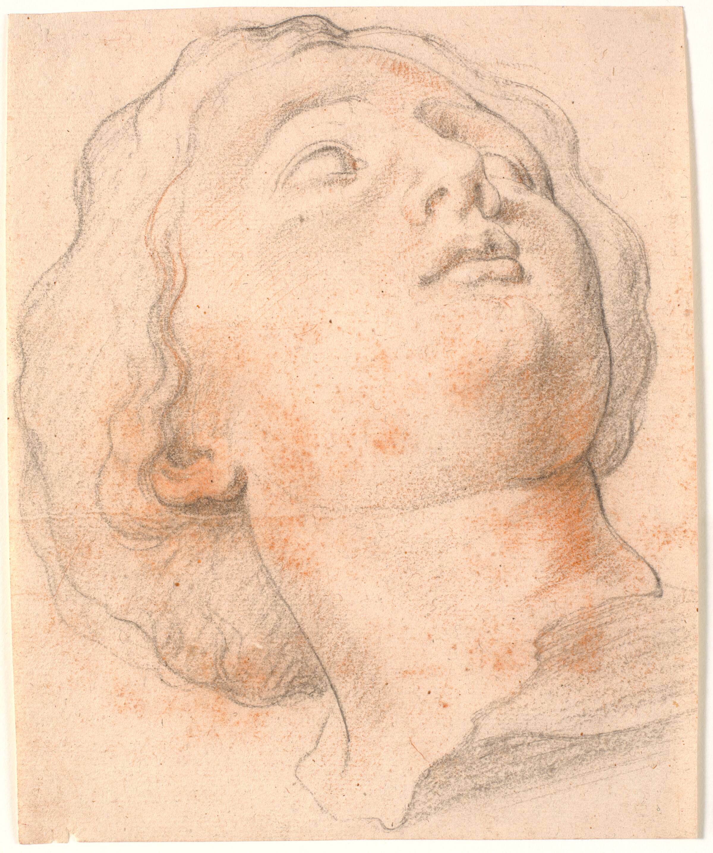 En romersk kvindes hoved i kvartprofil mod højre, Willem Panneels, 1628-1630