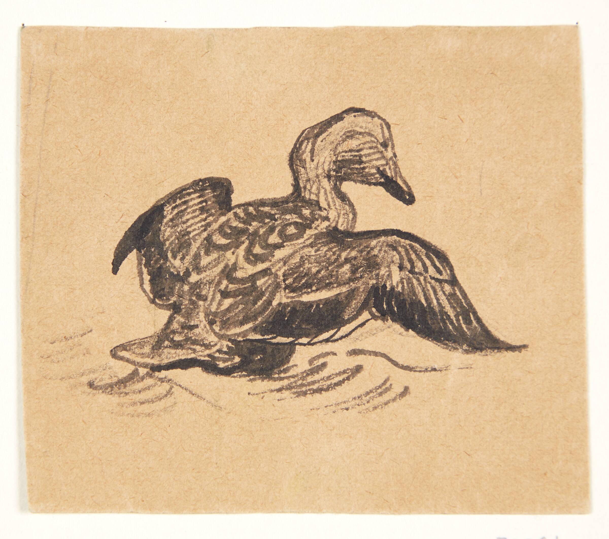 Ederfugl, Johannes Larsen, 1898