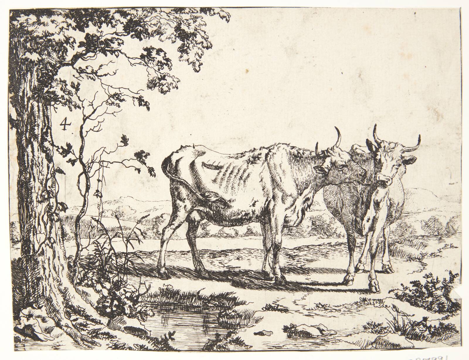 To køer, Marcus de Bye, 1638-1690