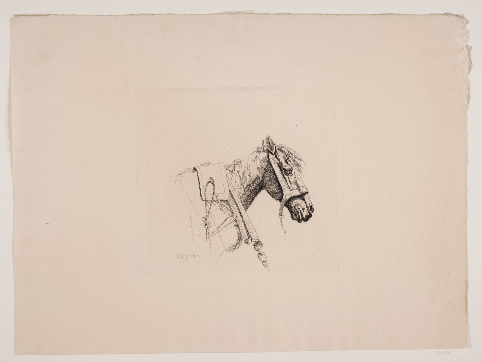 Et hestehoved, Emmerik Høegh-Guldberg, 1849