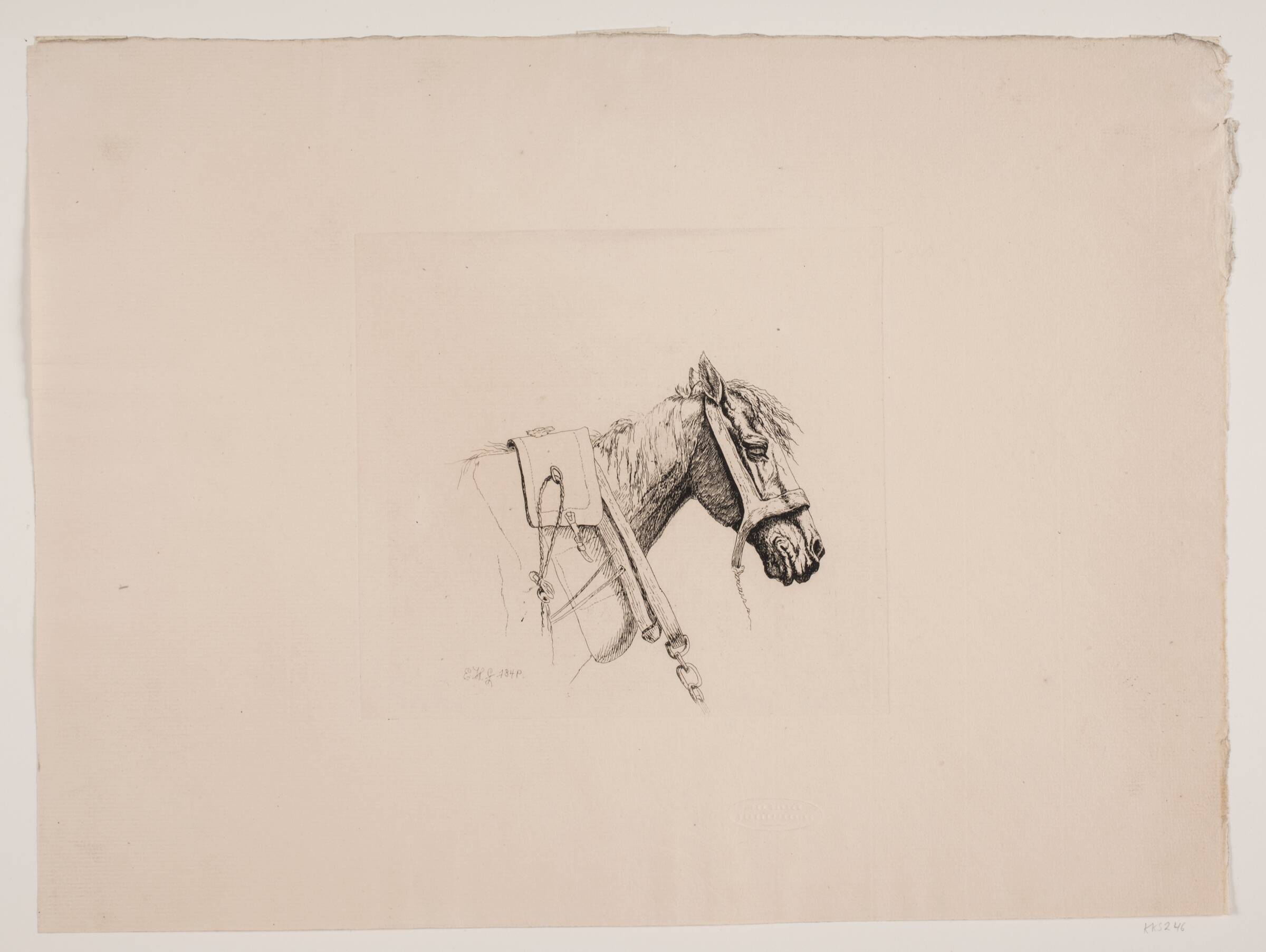 Et hestehoved, Emmerik Høegh-Guldberg, 1849