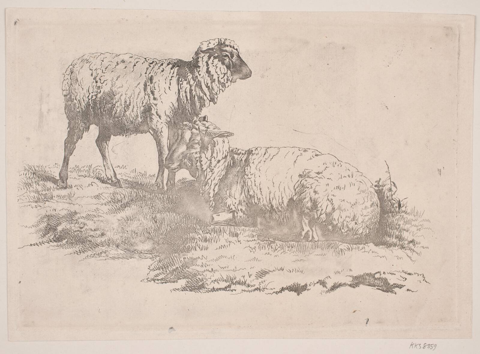 To får, J.P. Møller, 1783-1854