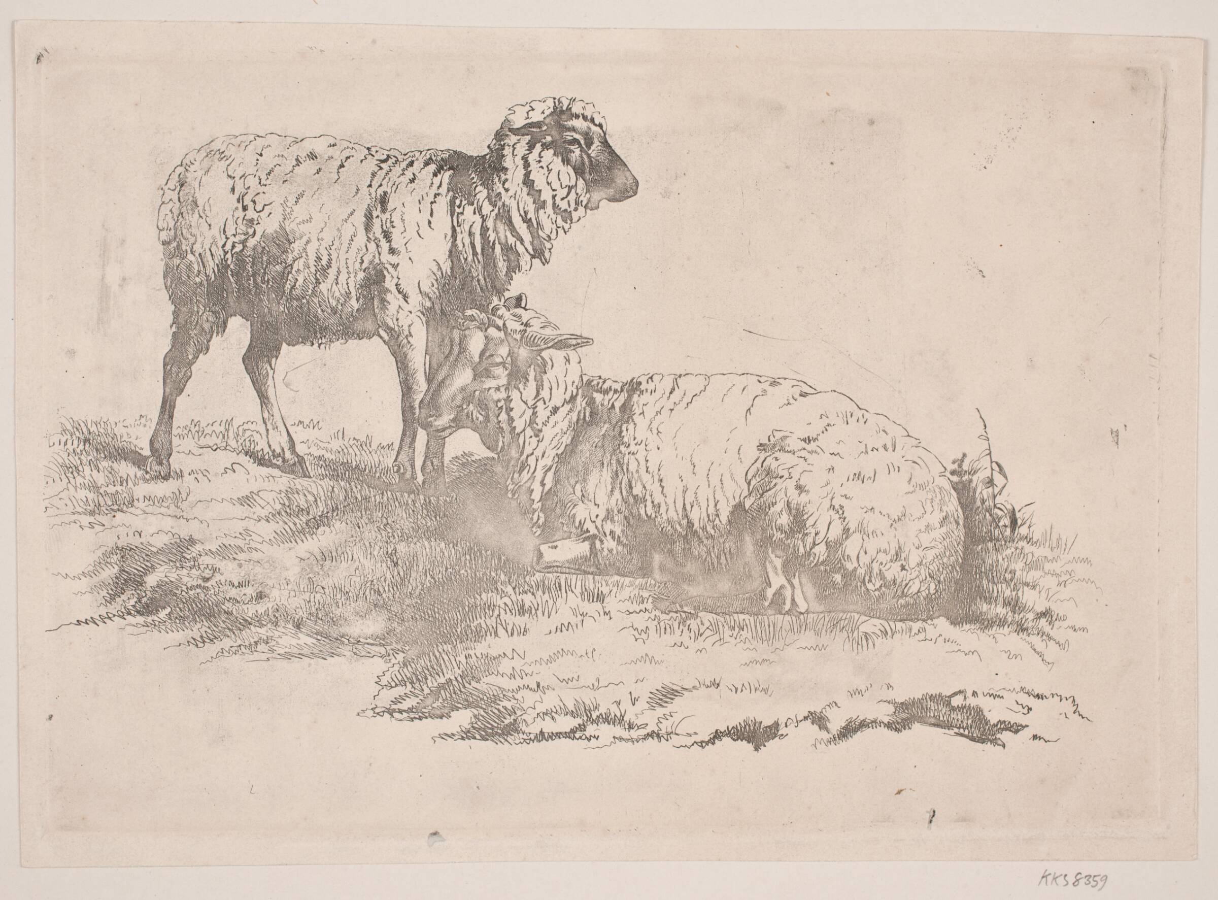 To får, J.P. Møller, 1783-1854