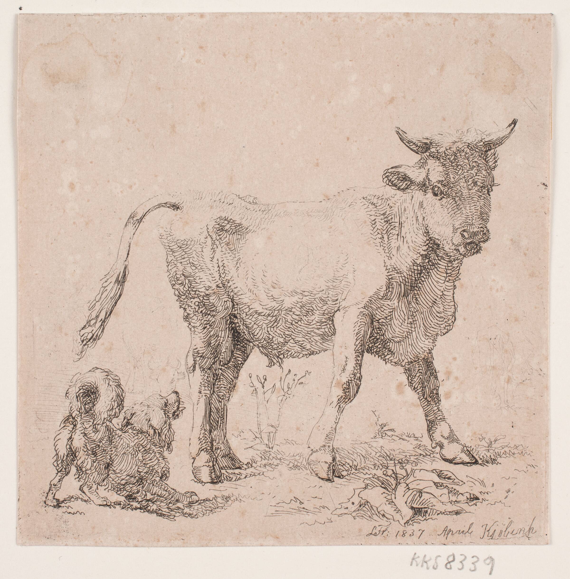 En tyrekalv og en gøende hund, Lorenz Frølich, 1837