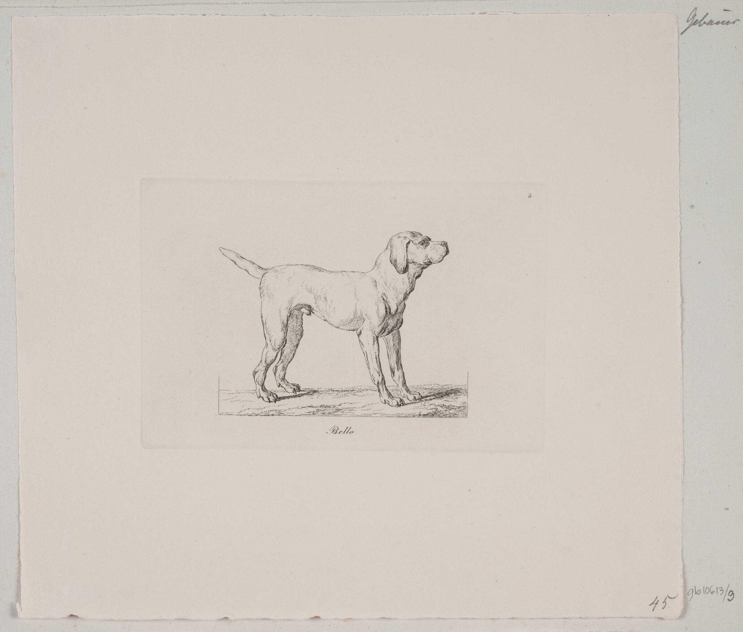 Bello, Christian David Gebauer, 1821