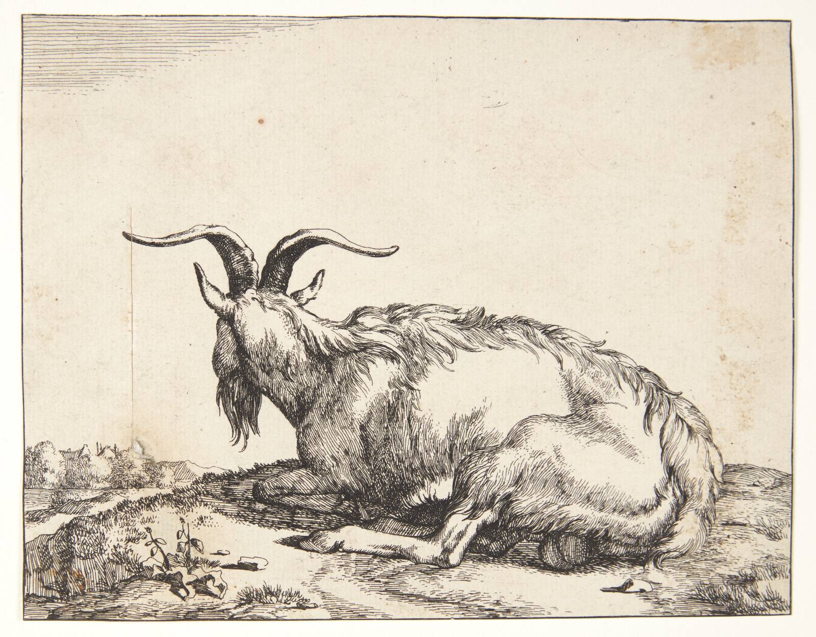Liggende ged, Marcus de Bye, 1638-1690