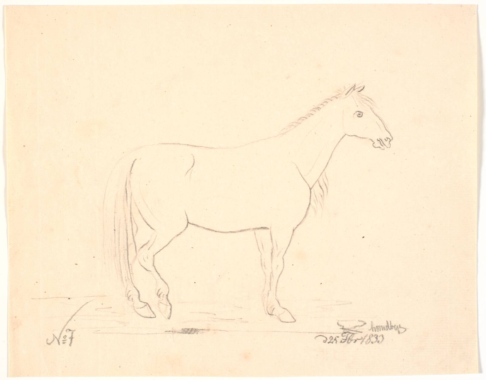 Stående hest i profil t.h.., Johan Thomas Lundbye, 1835