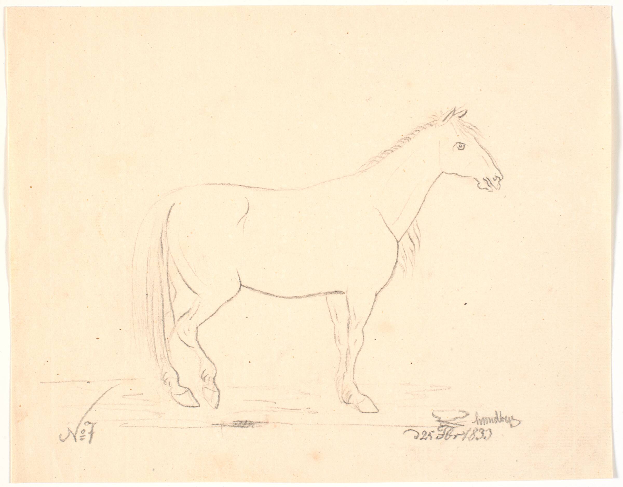 Stående hest i profil t.h.., Johan Thomas Lundbye, 1835