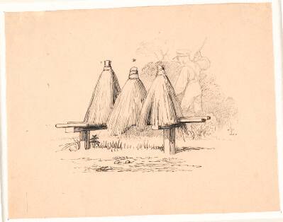 Bien. Illustration til Kaalunds "Fabler for Børn". Se kommentar fra arkkatalog.