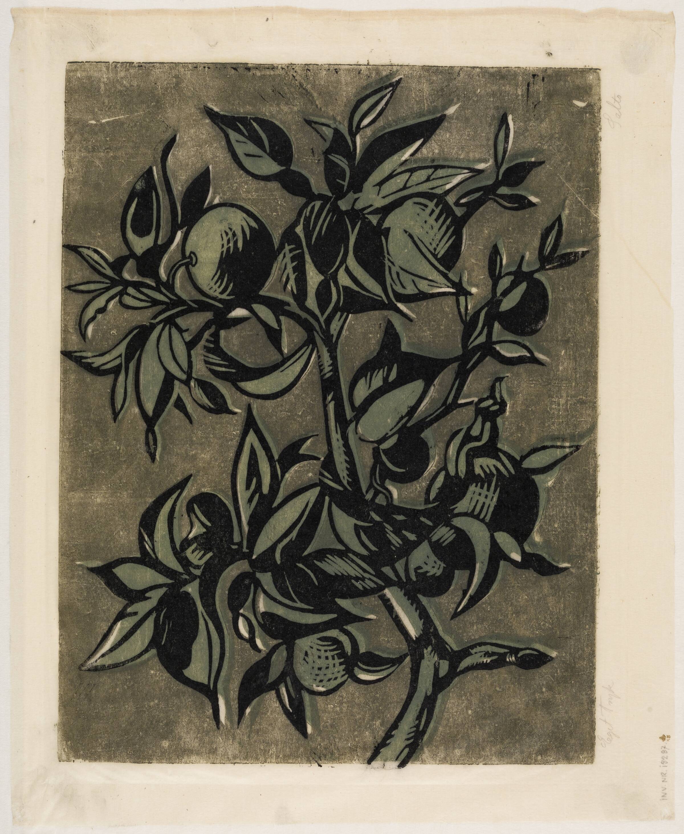 Frugtgren, Axel Salto, 1926