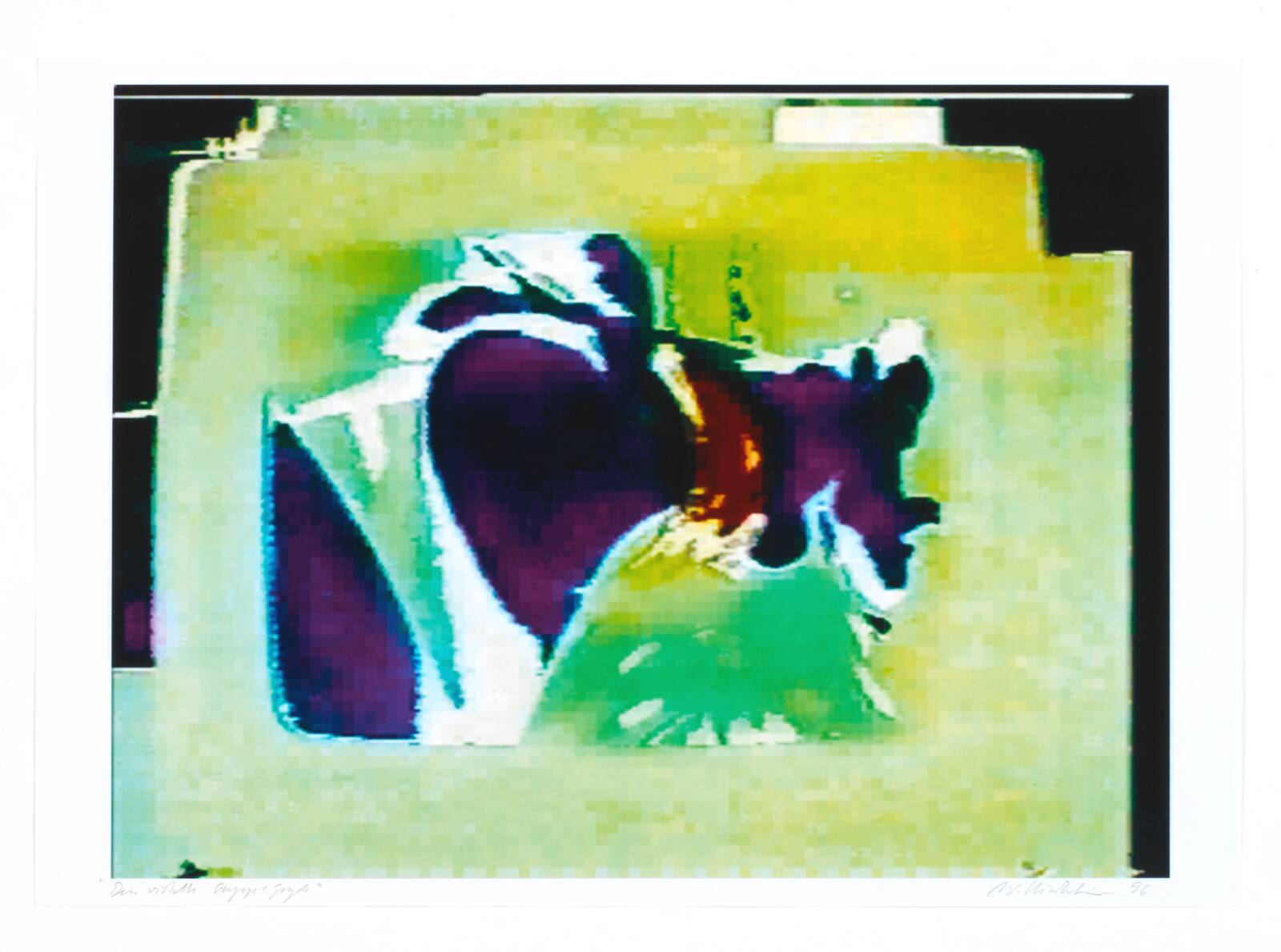 "Den visuelle suppegryde", William Louis Sørensen, 1996