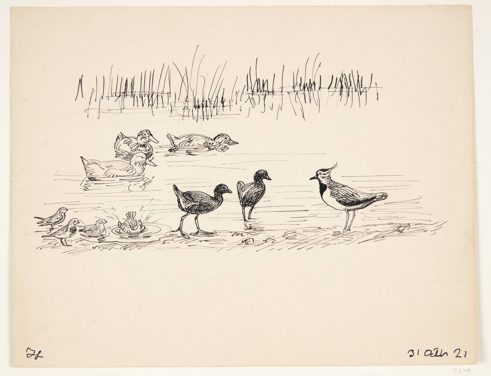 Fuglestudie, Johannes Larsen, 1921
