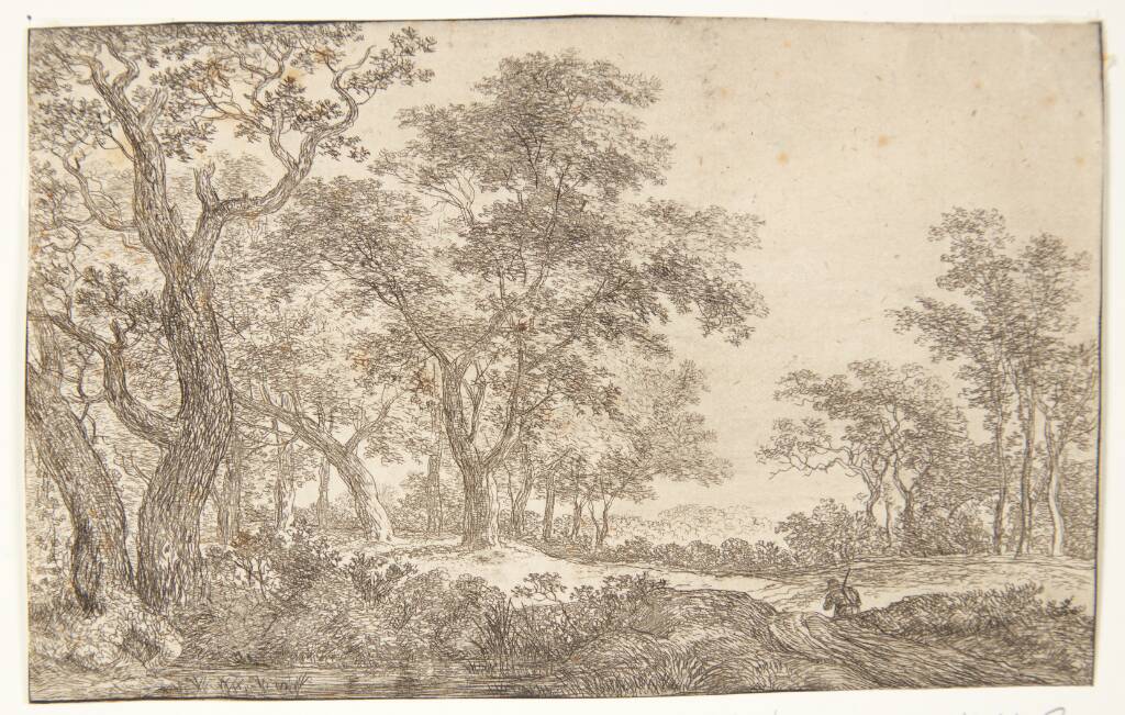 Vej i en skov, Simon de Vlieger, 1600-1653