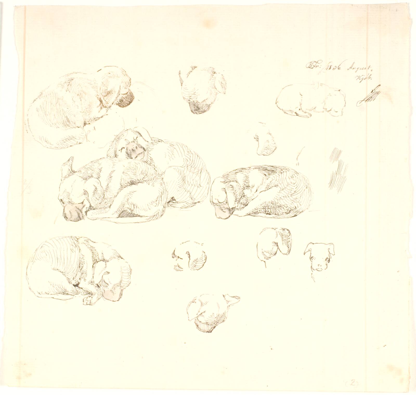 Studier af hunde, Lorenz Frølich, 1836