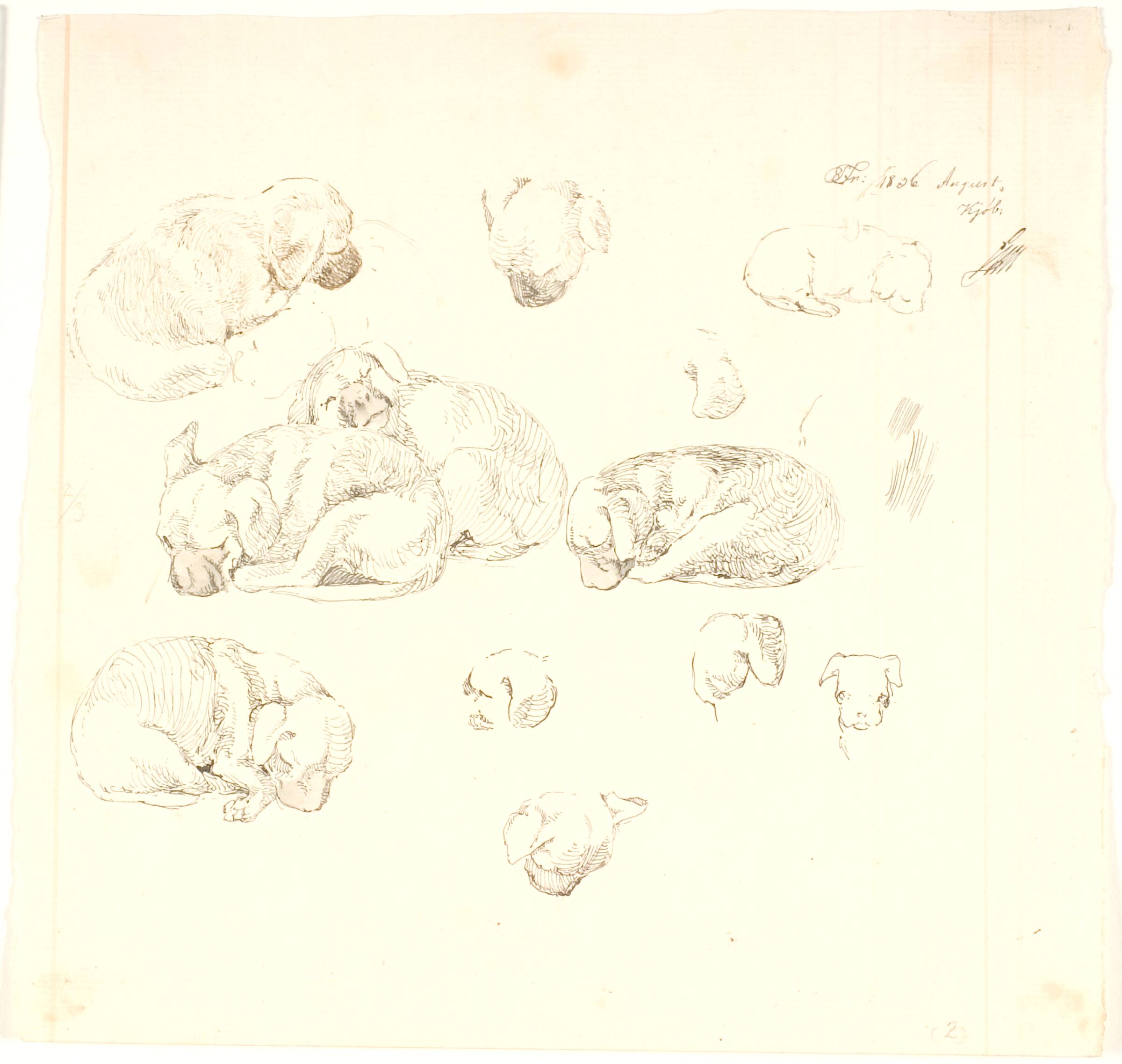 Studier af hunde, Lorenz Frølich, 1836