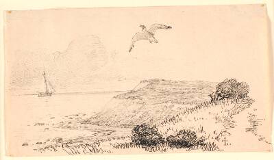 Mågen. Illustration til Kaalunds "Fabler for Børn". Se kommentar fra arkkatalog.