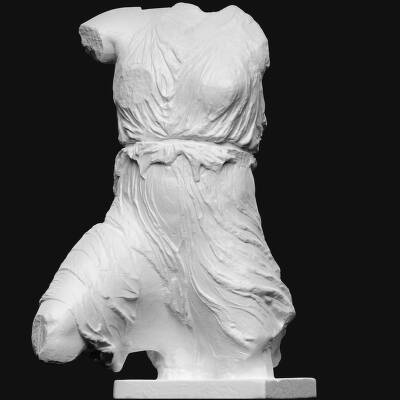 Torso af kvinde, Iris