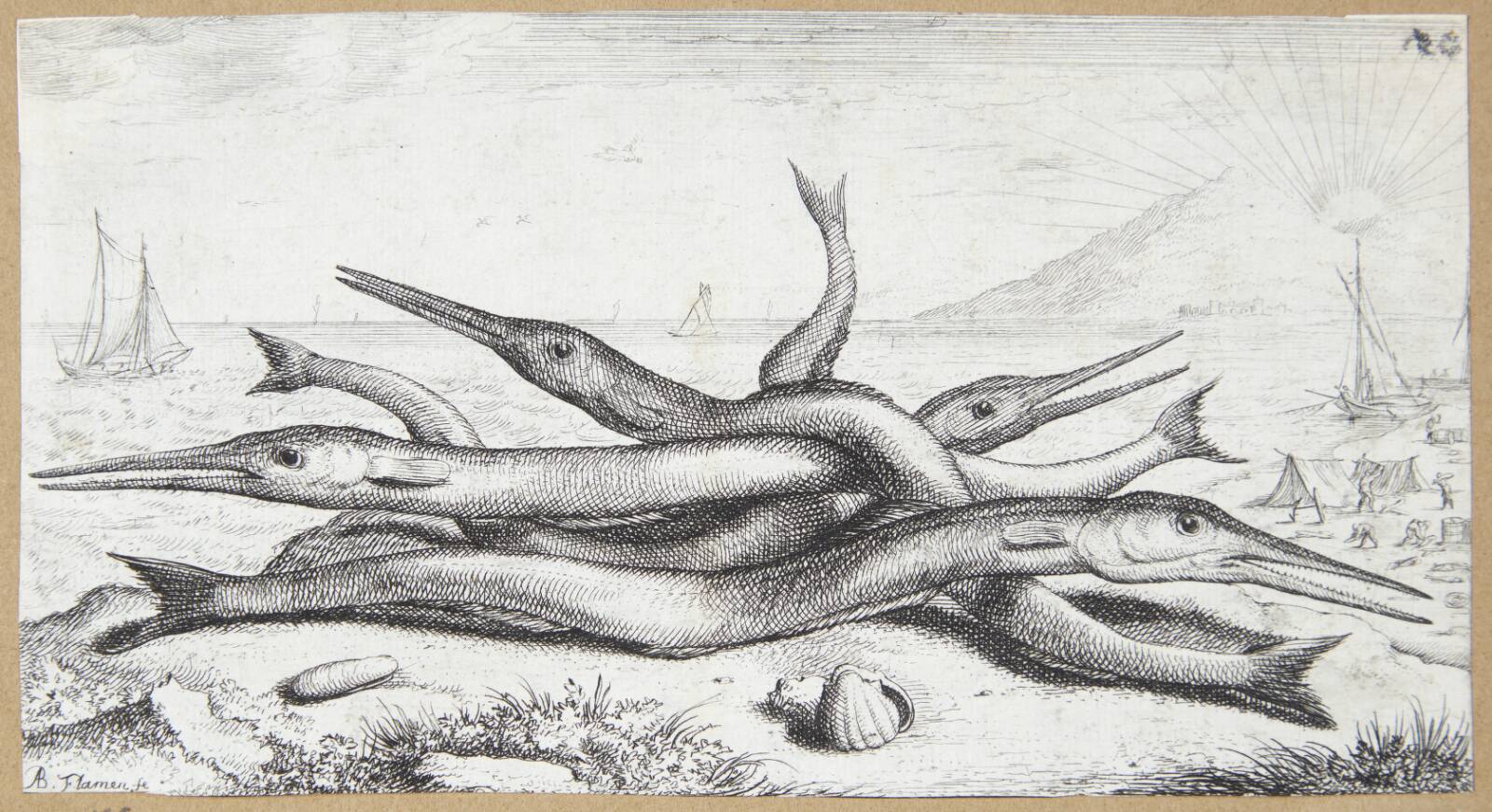 Hornfisk (Admos), Albert Flamen, 1620-1669