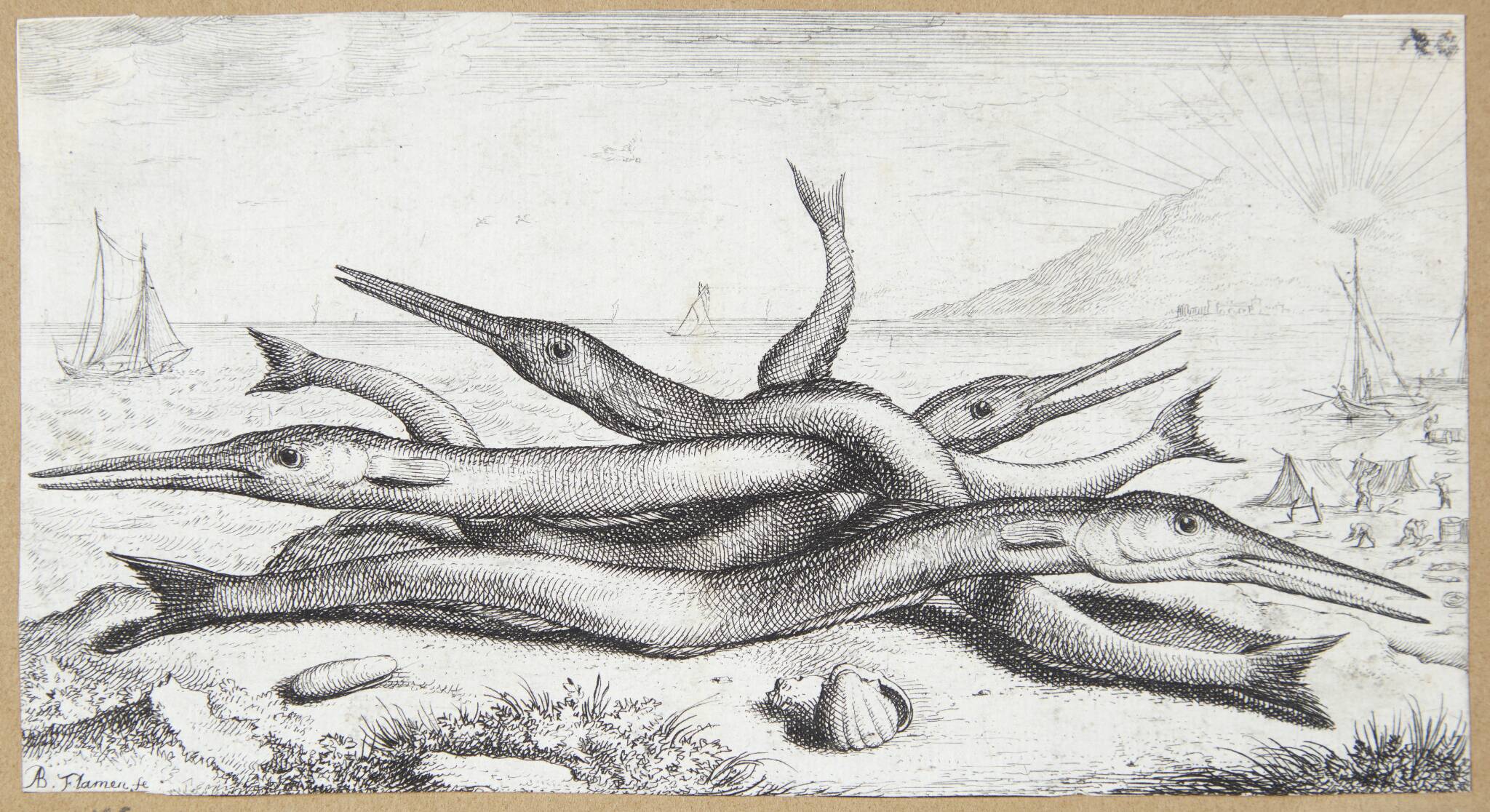 Hornfisk (Admos)