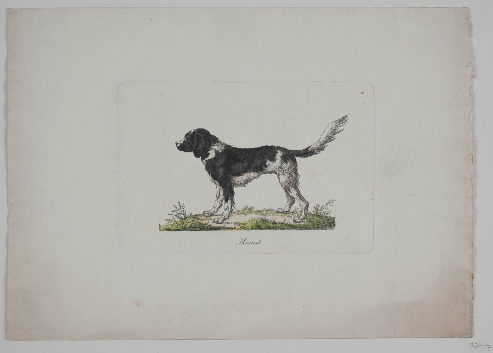 Thurust, Christian David Gebauer, 1821