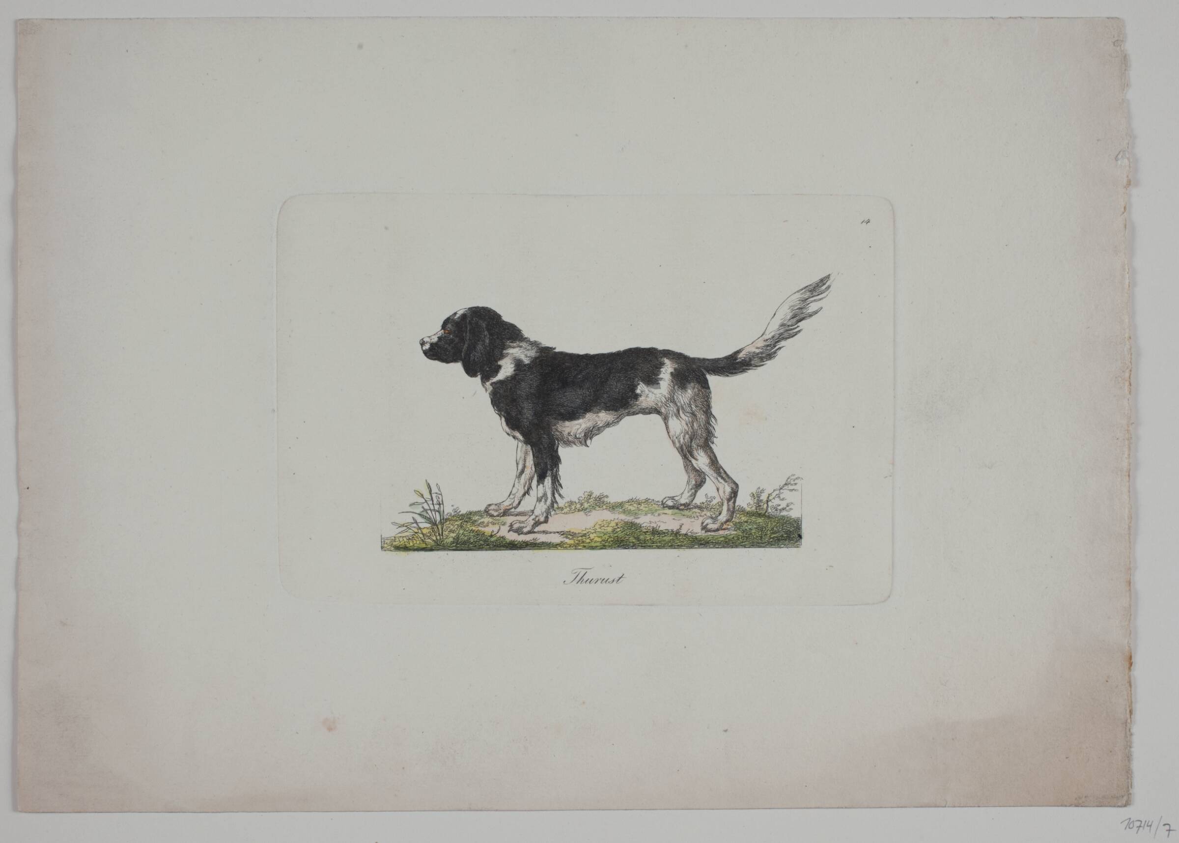 Thurust, Christian David Gebauer, 1821