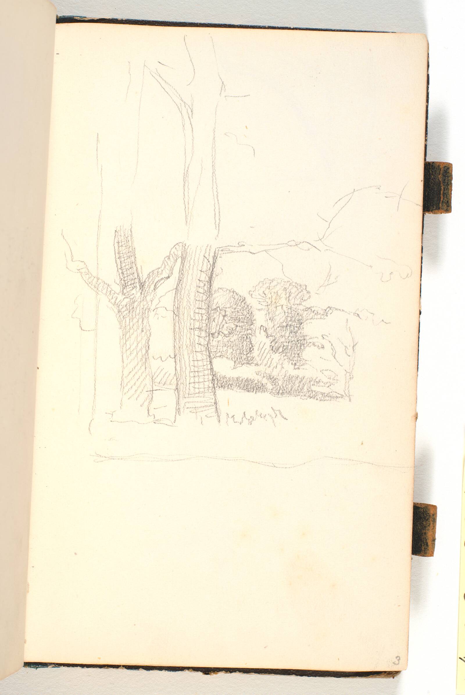 To træstammer, P.C. Skovgaard, 1867