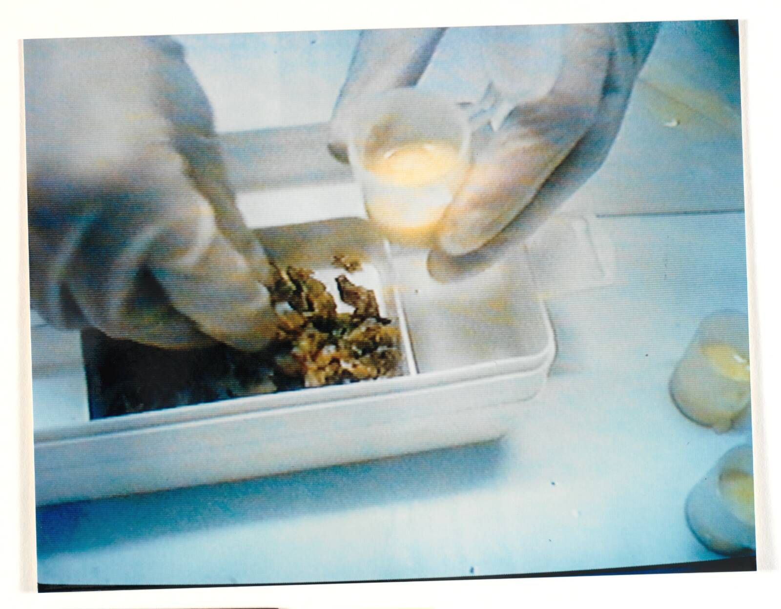 Labotik, Anja Franke, 1995