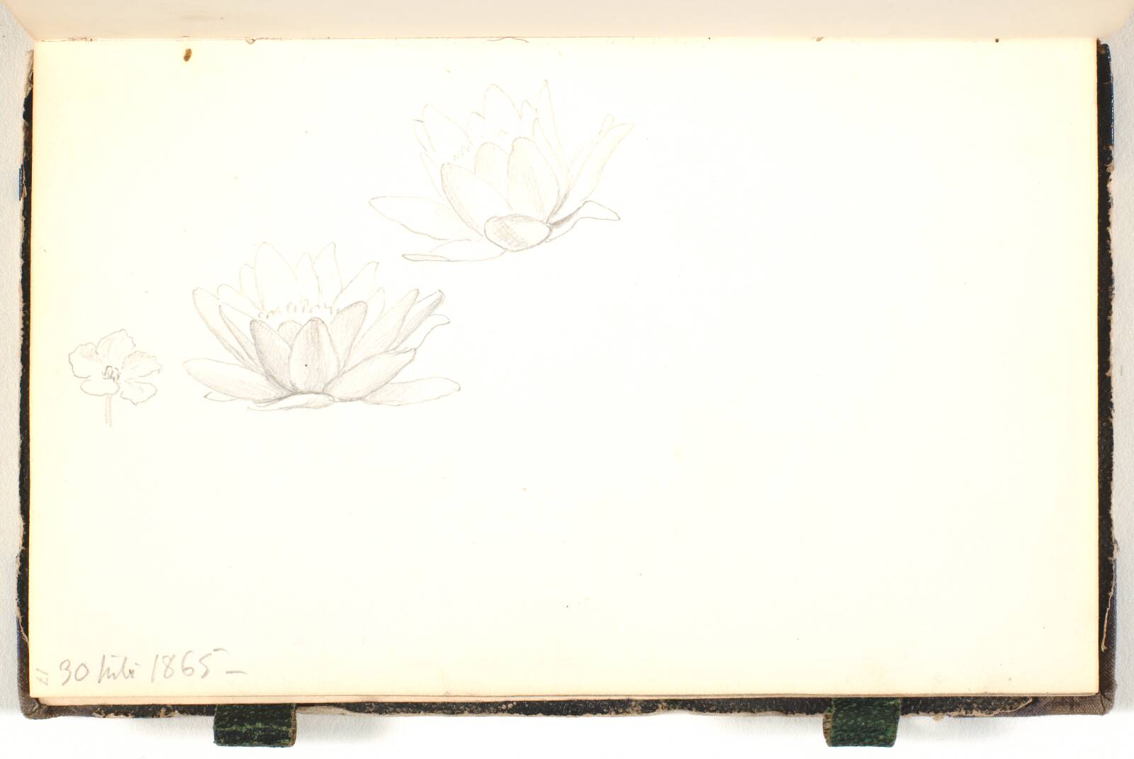 Blomsterstudier, P.C. Skovgaard, 1865