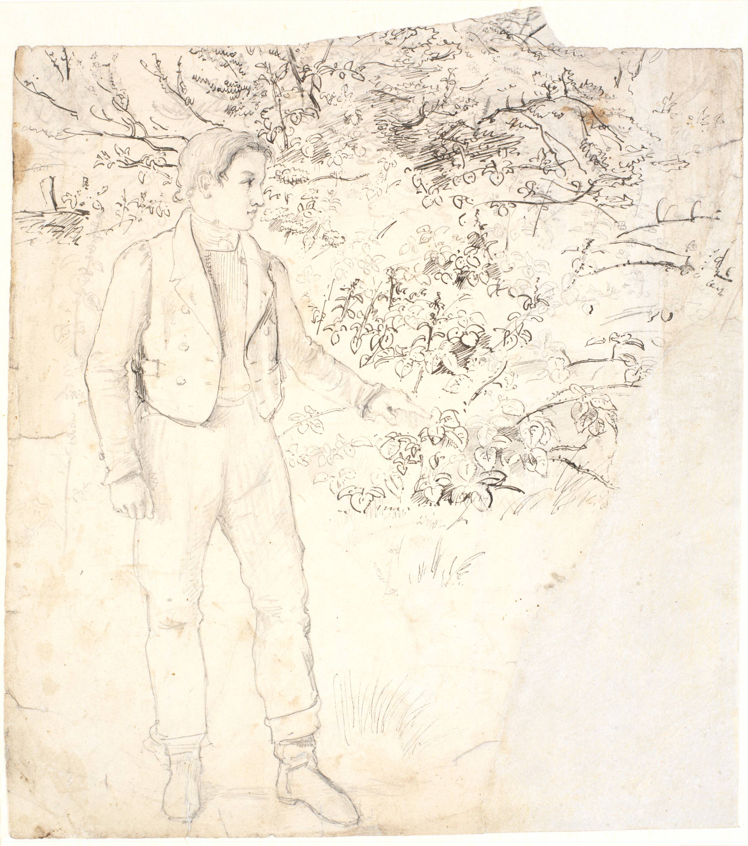 Stående ung mand og plantestudier, Dankvart Dreyer, 1831-1852