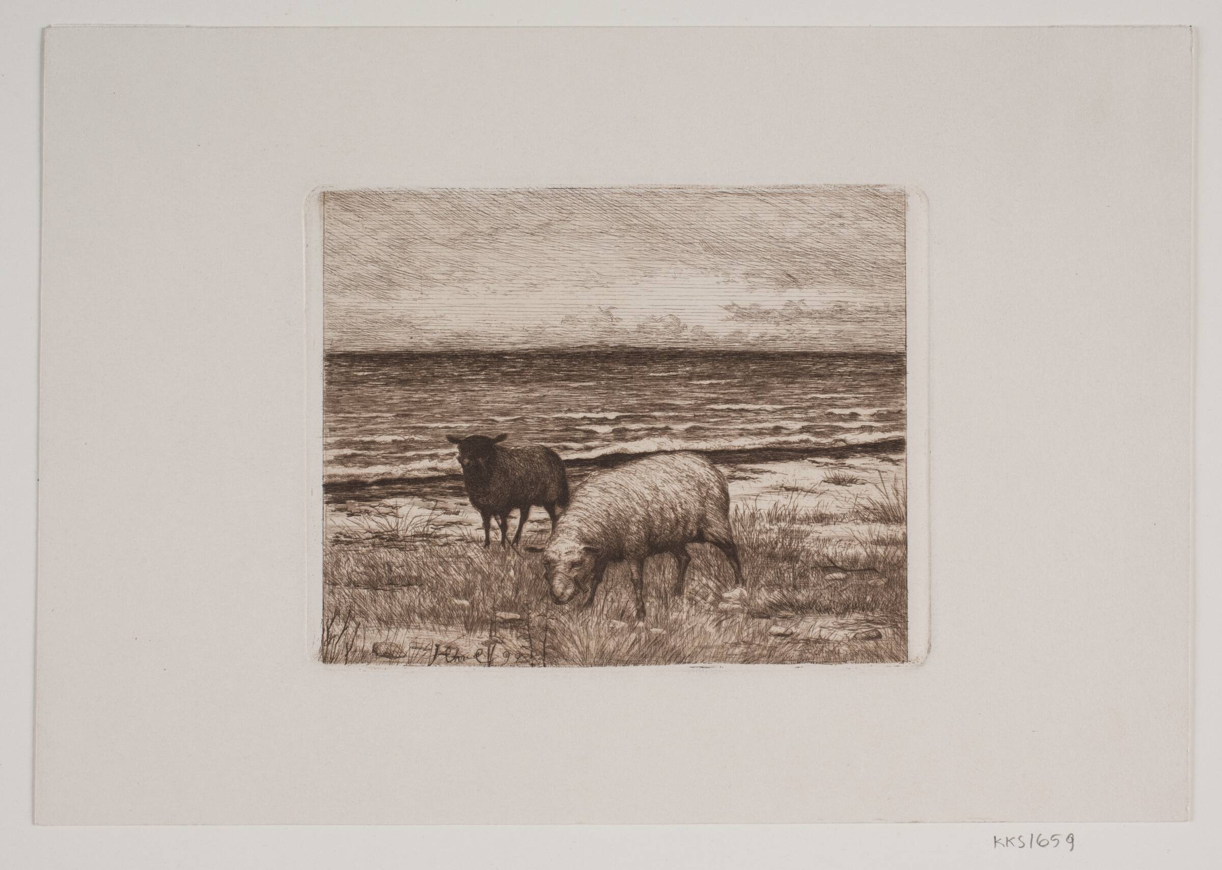 Får på strandbredden, Hans Christian Gether Caspersen, 1892
