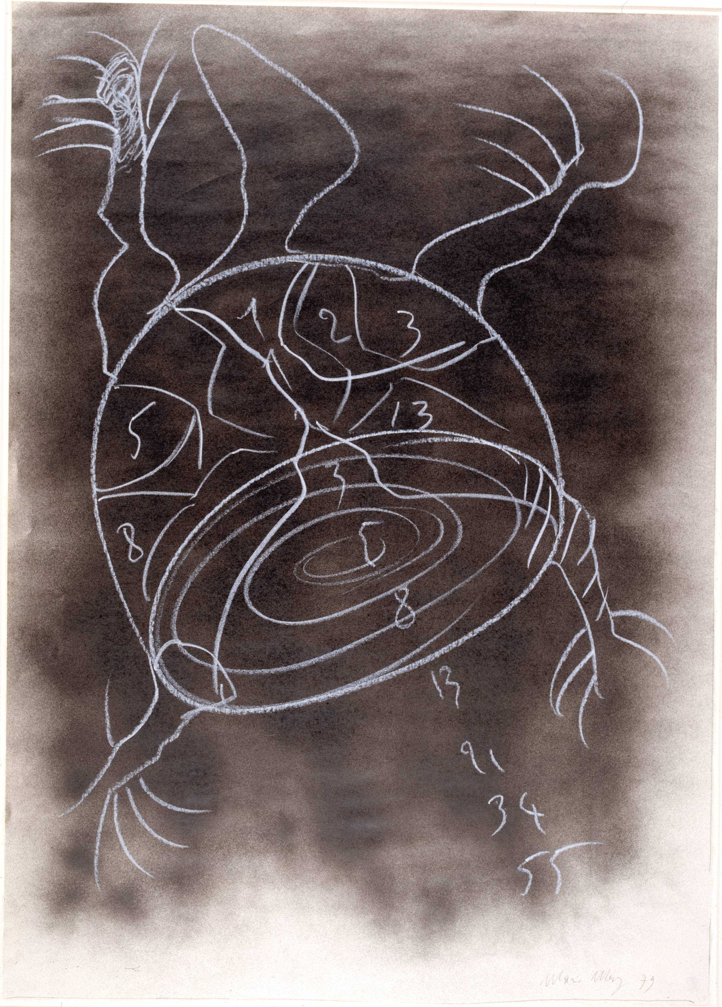 Uden titel (Skildpadde og Fibonaccis række), Mario Merz, 1979