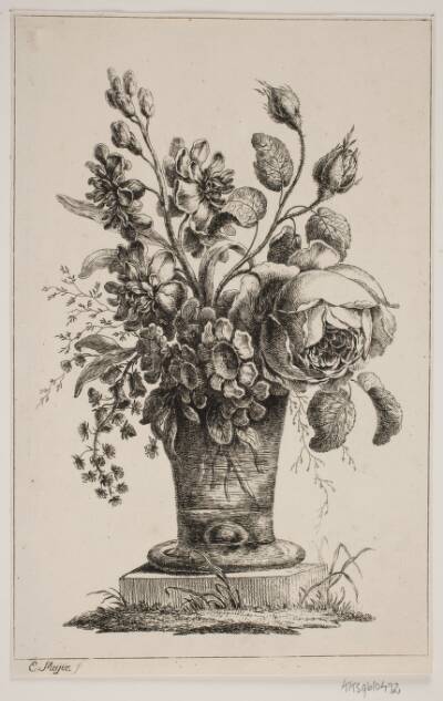 Blomster i et Glas, en Rose, Aurikler m.v.