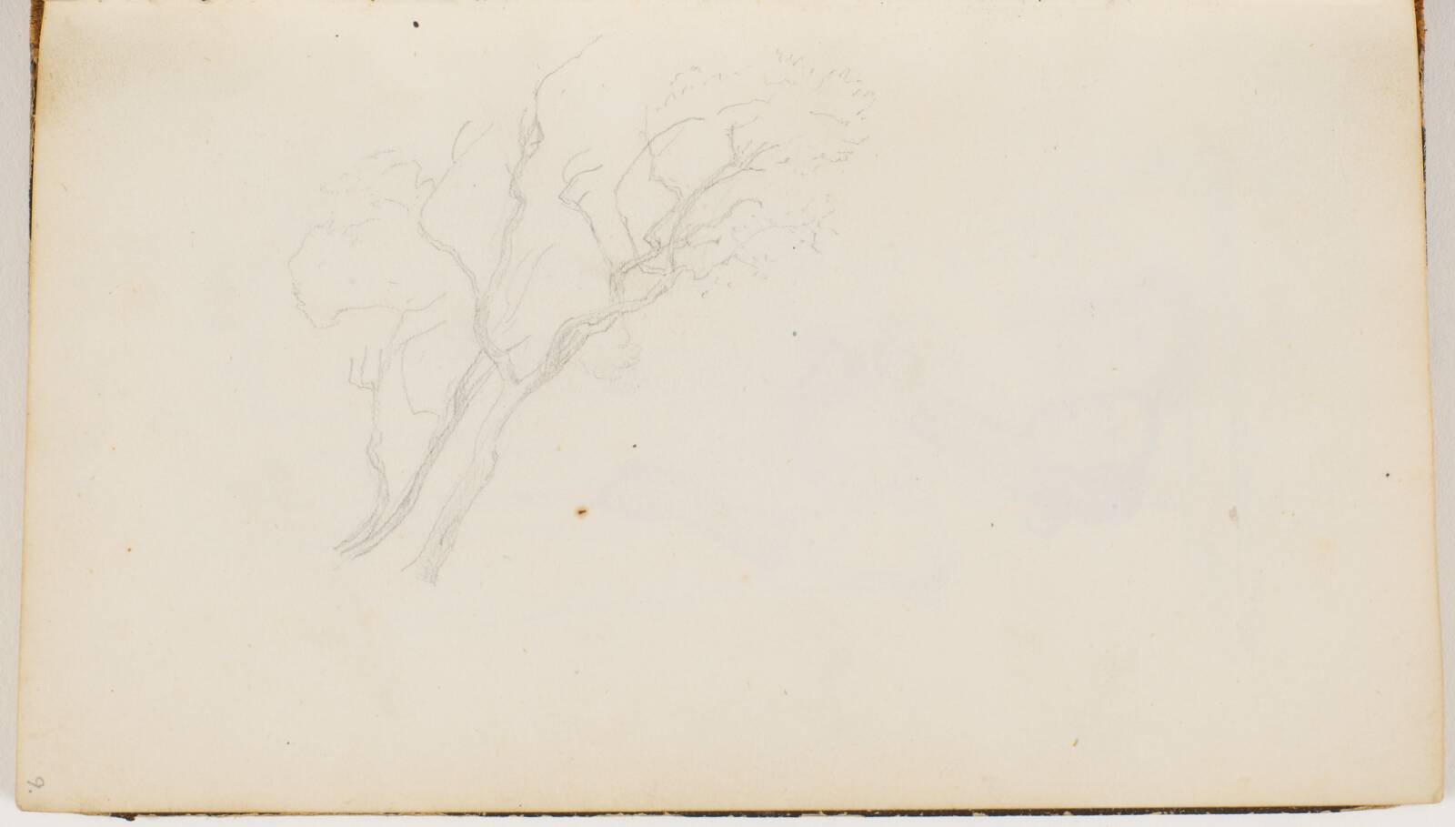 To spinkle træer, P.C. Skovgaard, 1869
