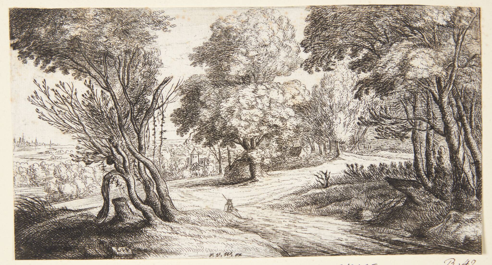 Skovlandskab