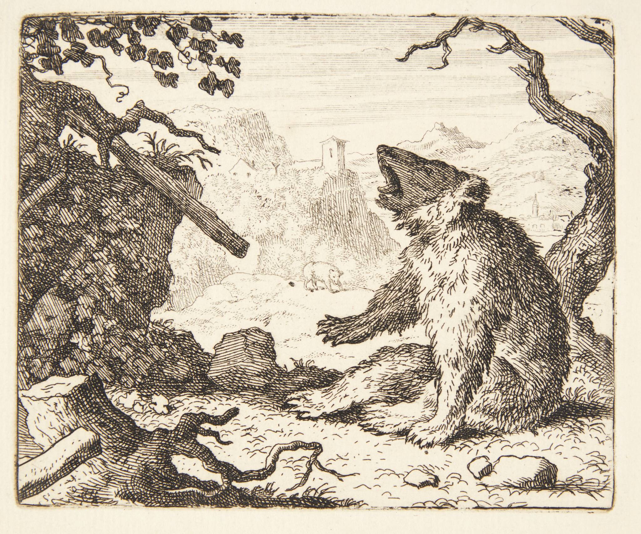 Bjørnen kalder Renard i retten