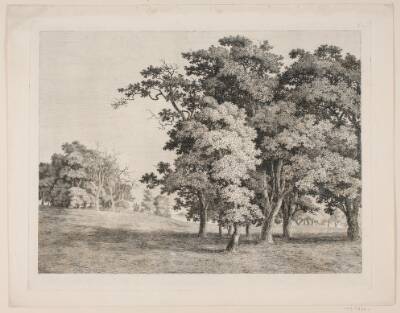"Studier efter Naturen med Hensyn til Landskabstegning af S.H. Petersen", nr. 8