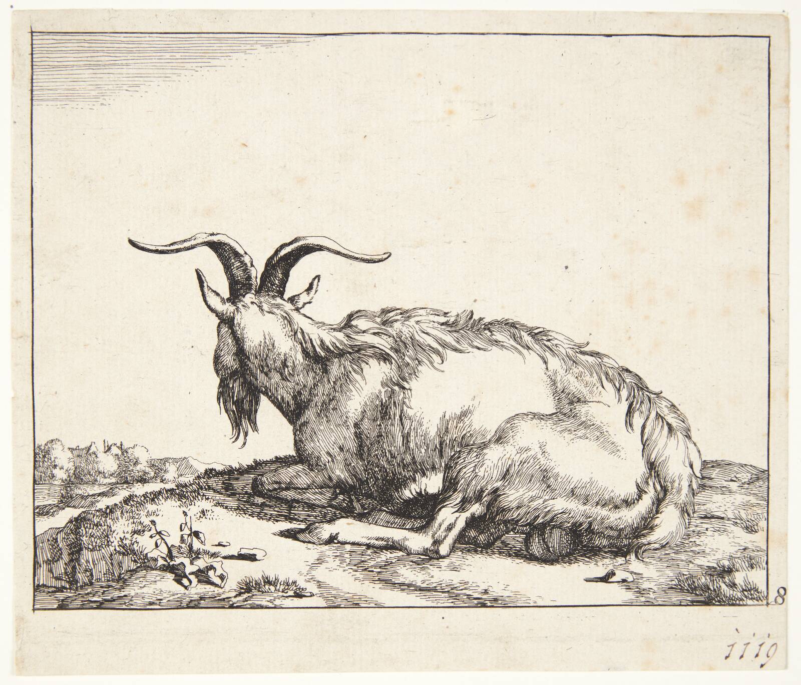 Liggende ged, Marcus de Bye, 1638-1690