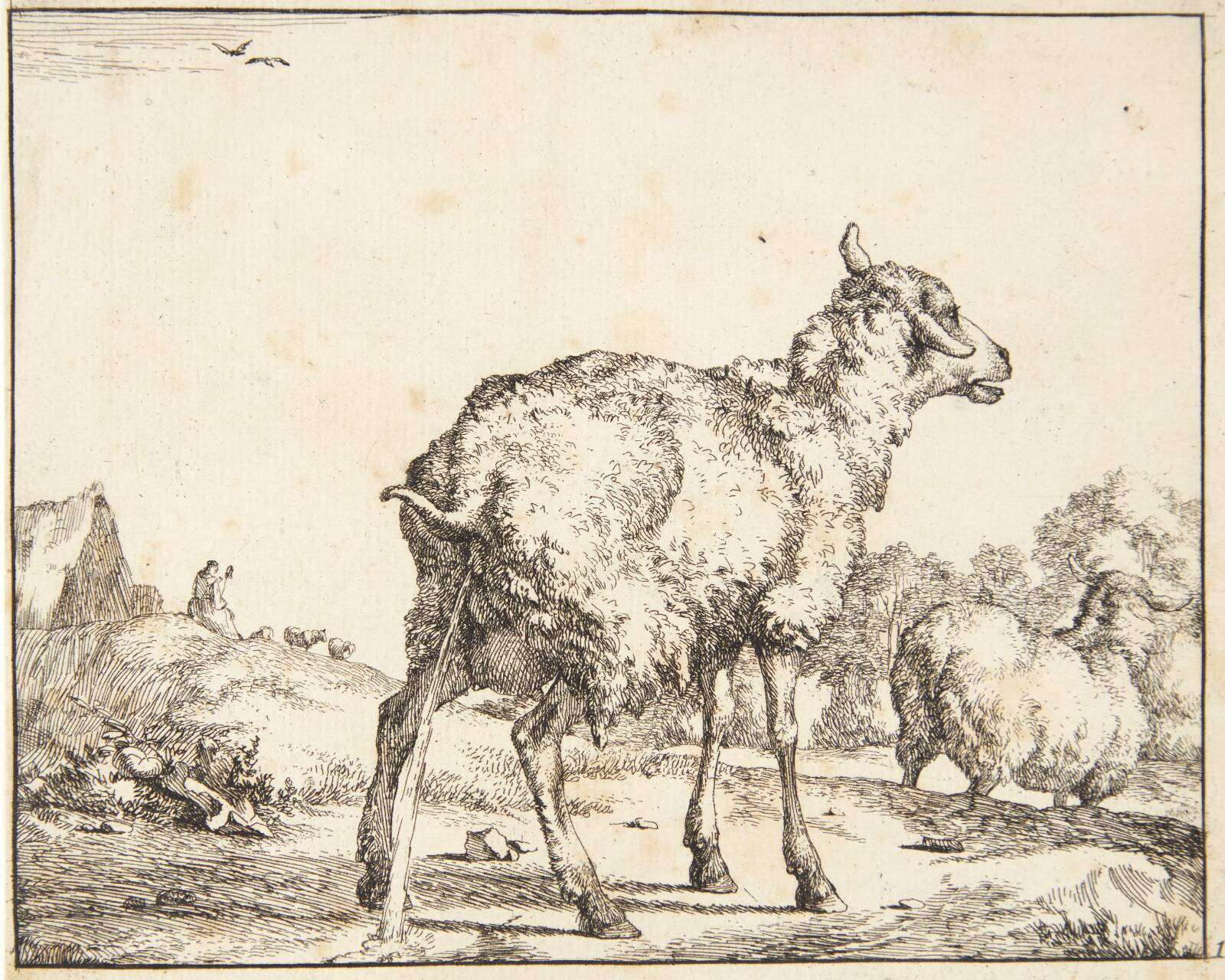 Tissende gimmer, Marcus de Bye, 1664