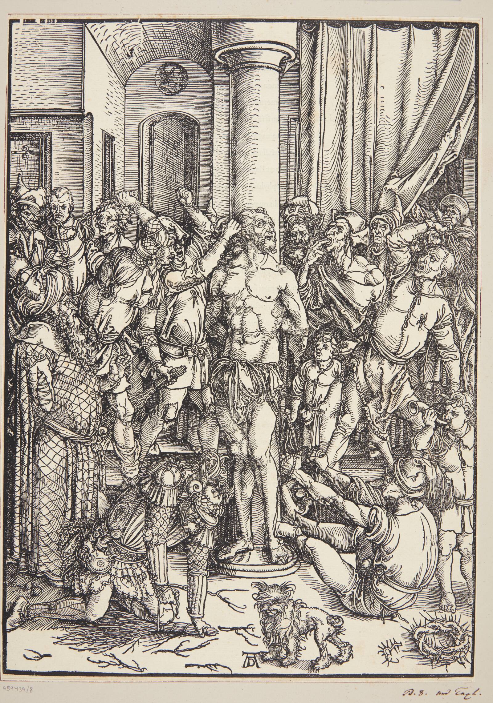 Hudflettelsen, Albrecht Dürer, 1494-1497