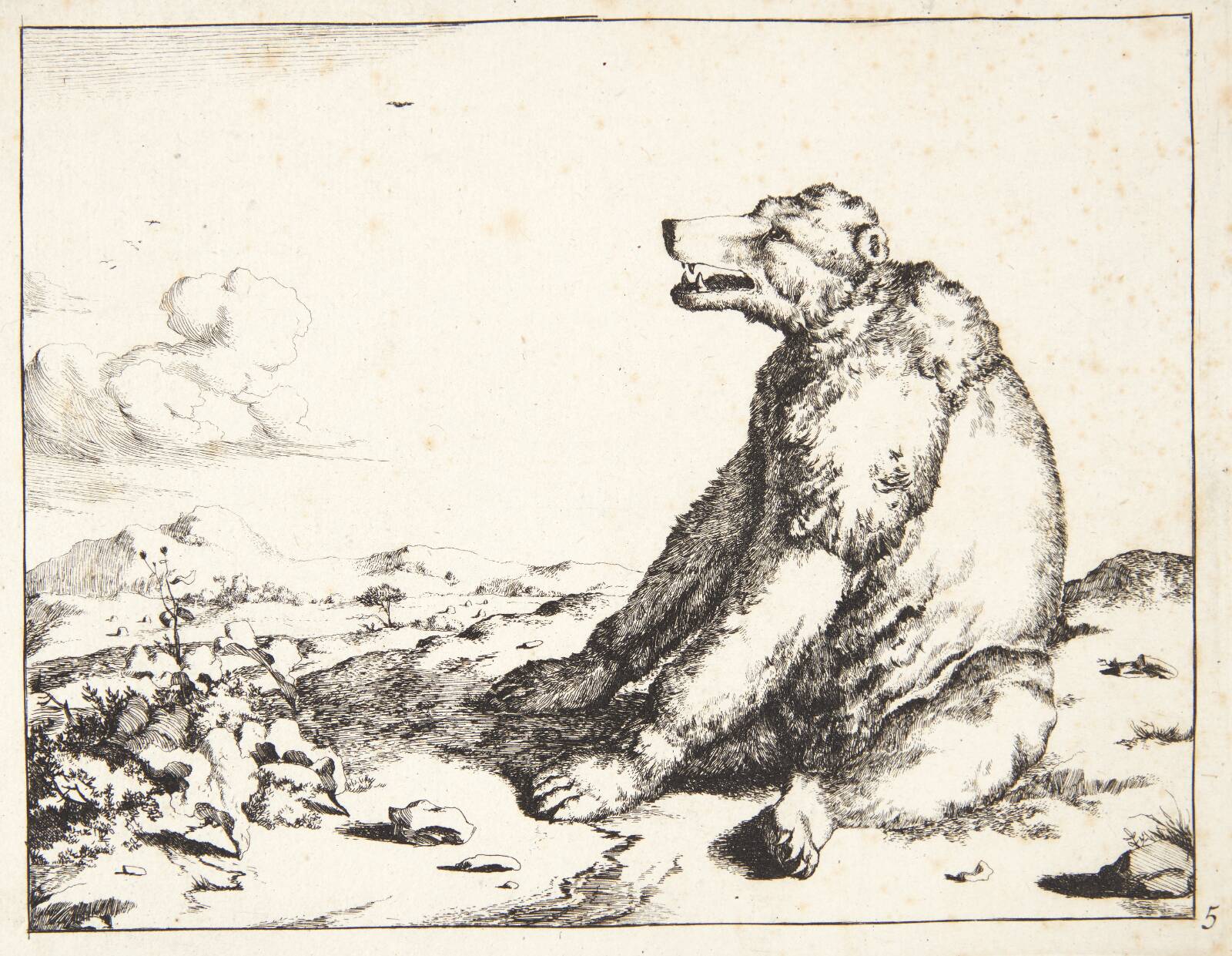 Siddende bjørn, vendt mod venstre, Marcus de Bye, 1638-1690