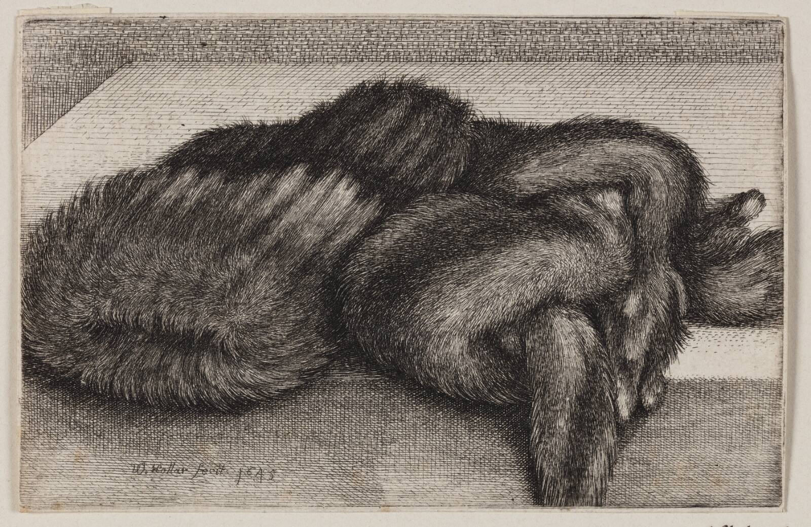 Fiskeri, Claes Jansz. Visscher, 1612