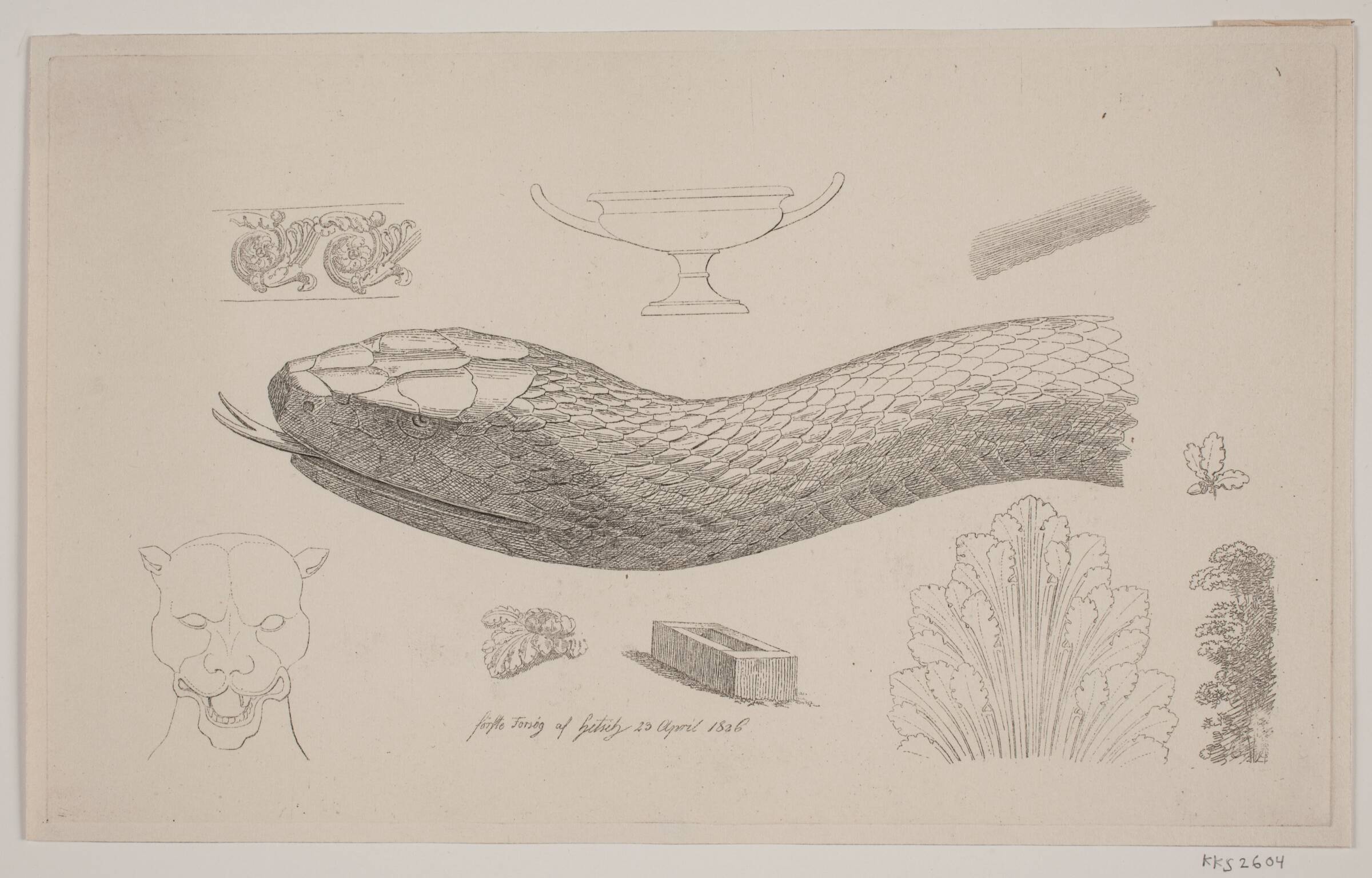 Prøveblad med slangehoved, G.F. Hetsch, 1826