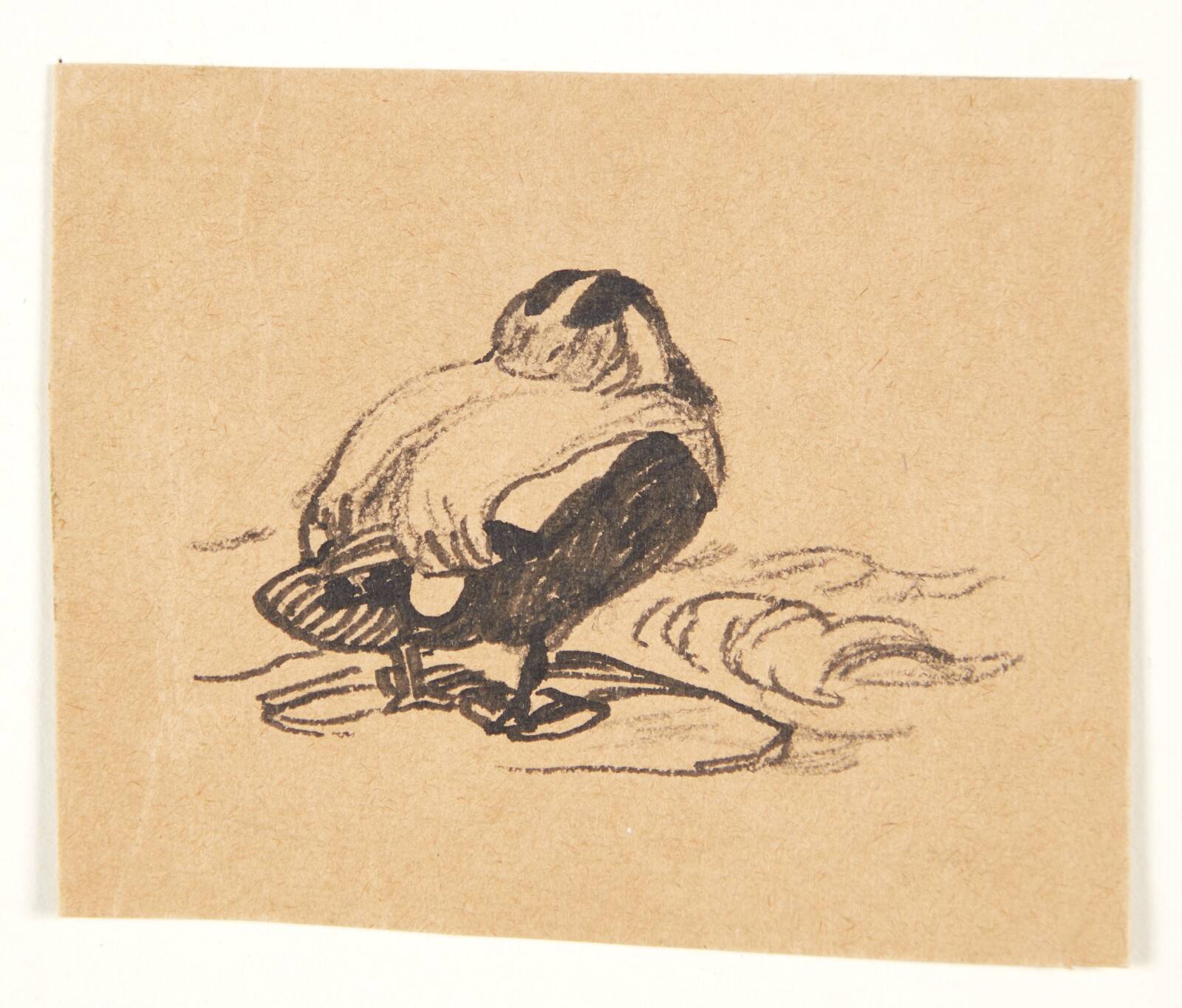 Ederfugl, Johannes Larsen, 1898