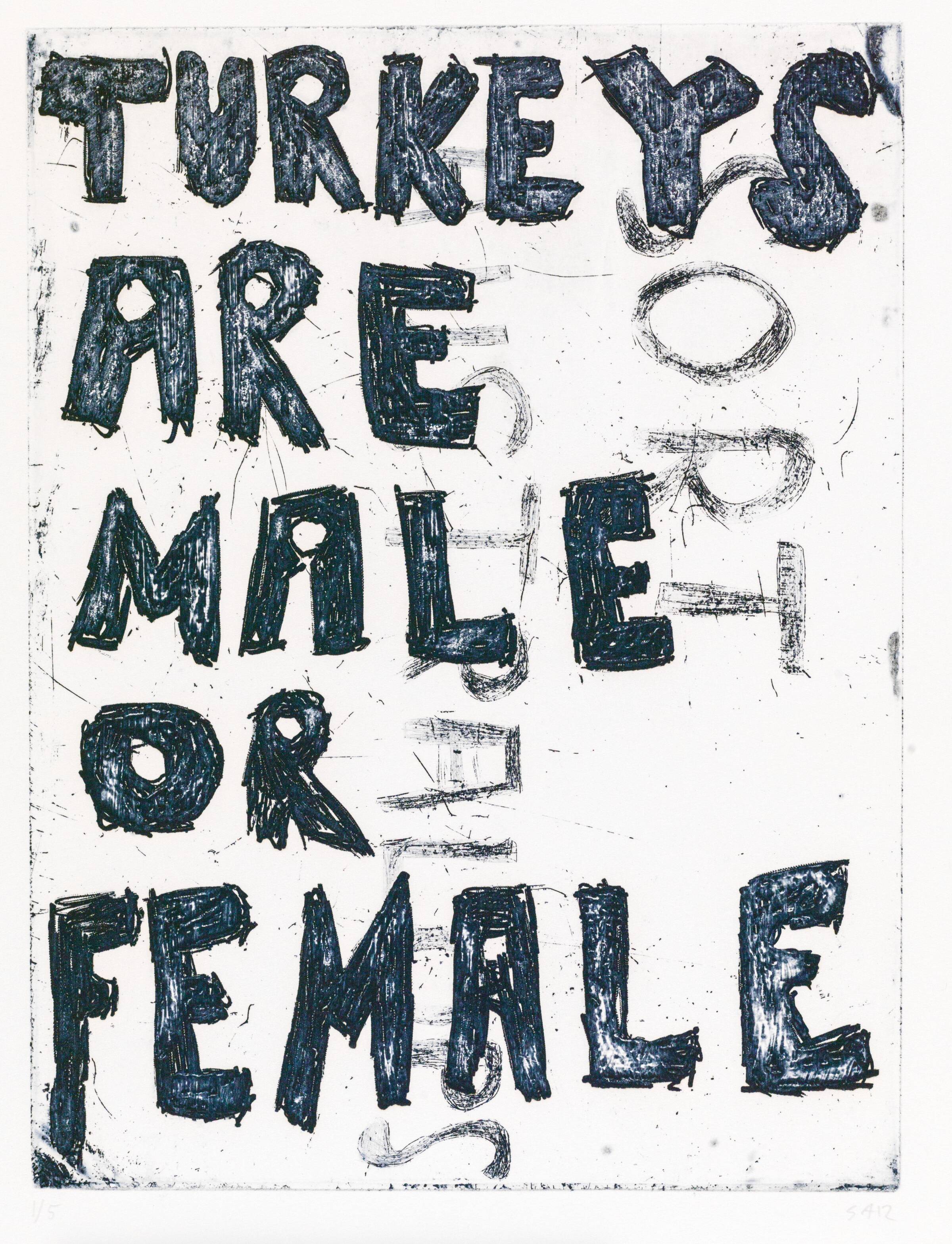 TURKEYS ARE MALE OR FEMALE, Svend-Allan Sørensen, 2012