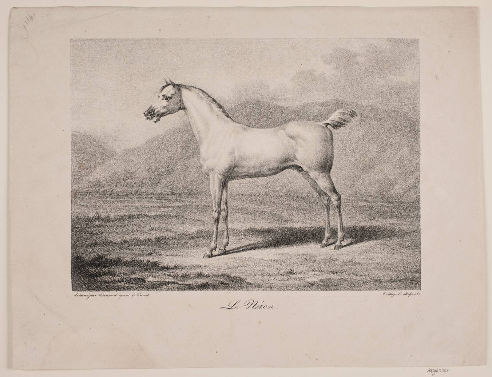 Arabisk hest: "Le Néron", WIlhelm Heuer, 1723-1823