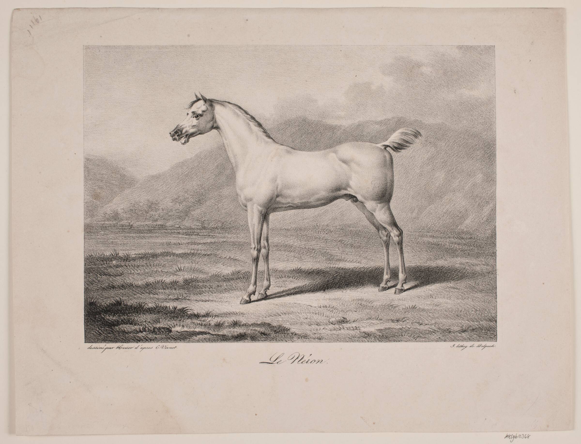 Arabisk hest: "Le Néron", WIlhelm Heuer, 1723-1823