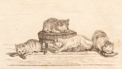 Illustration til "Halvhundrede Fabler for Børn" af Hey