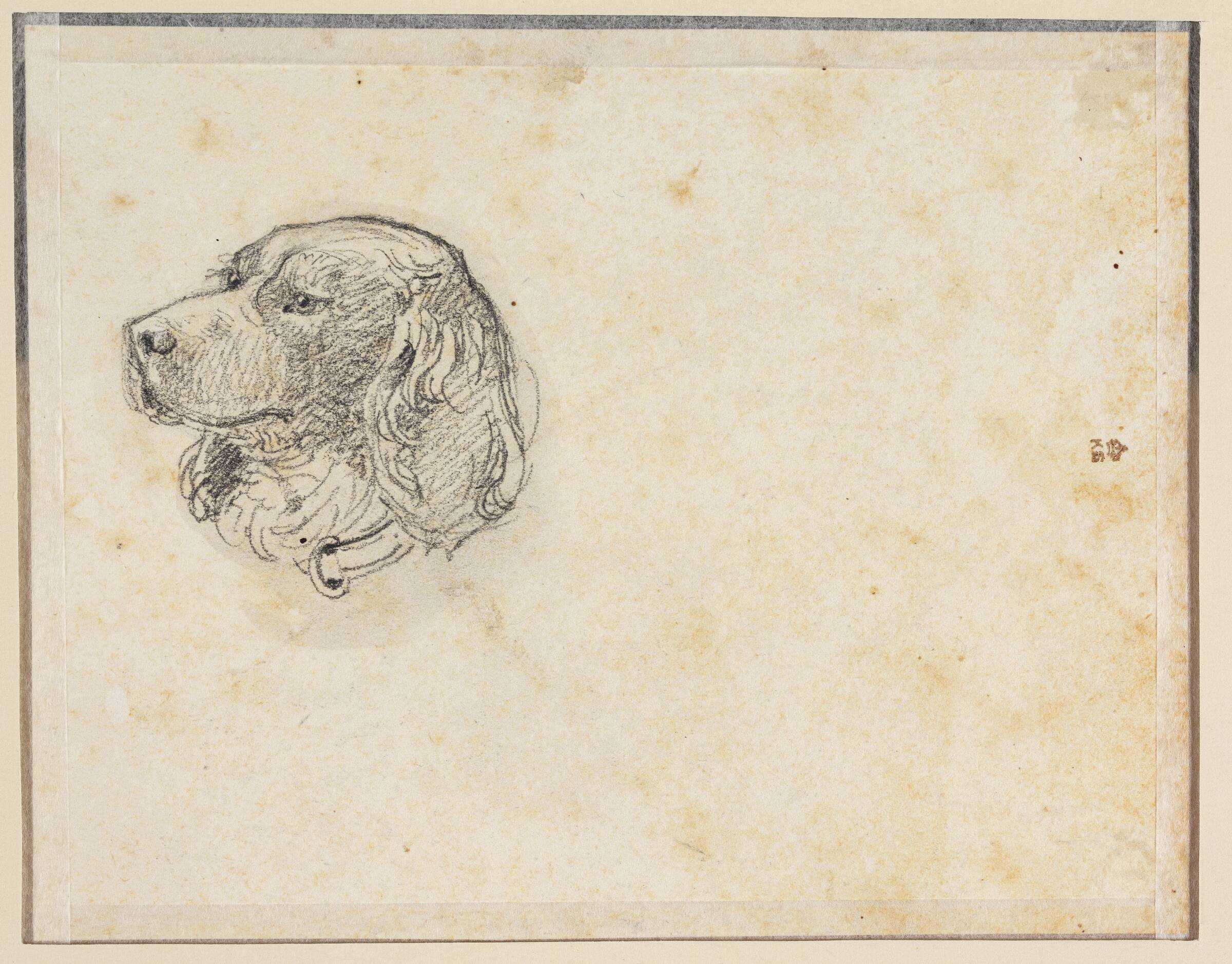 Et hundehoved, Constantin Hansen, 1804-1880